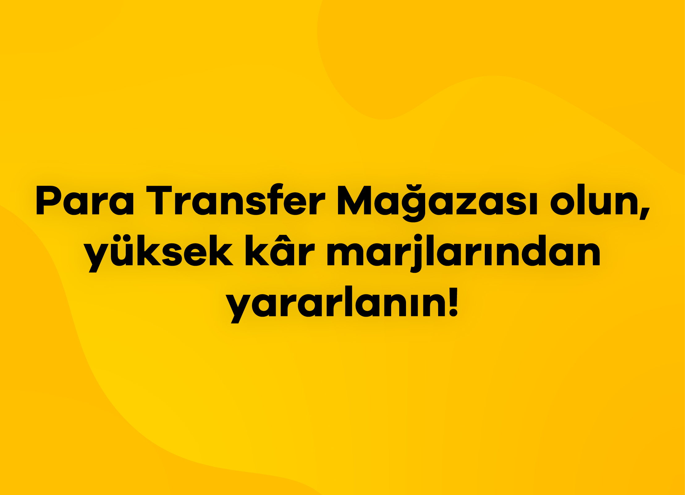 PTN Para Transfer Mağazası Olun, Yüksek Kar Marjlarından Yararlanın